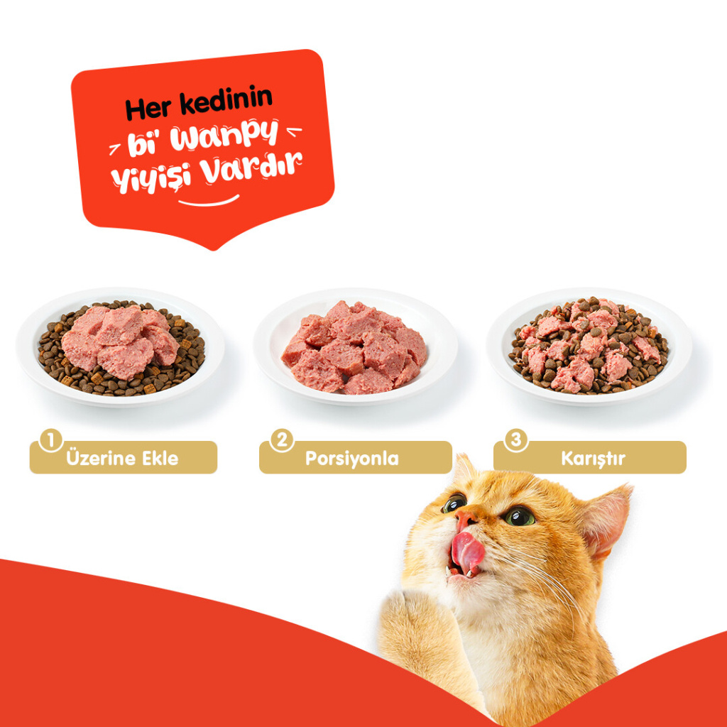 Wanpy Kuzulu Ezme Kedi Konservesi 375gr