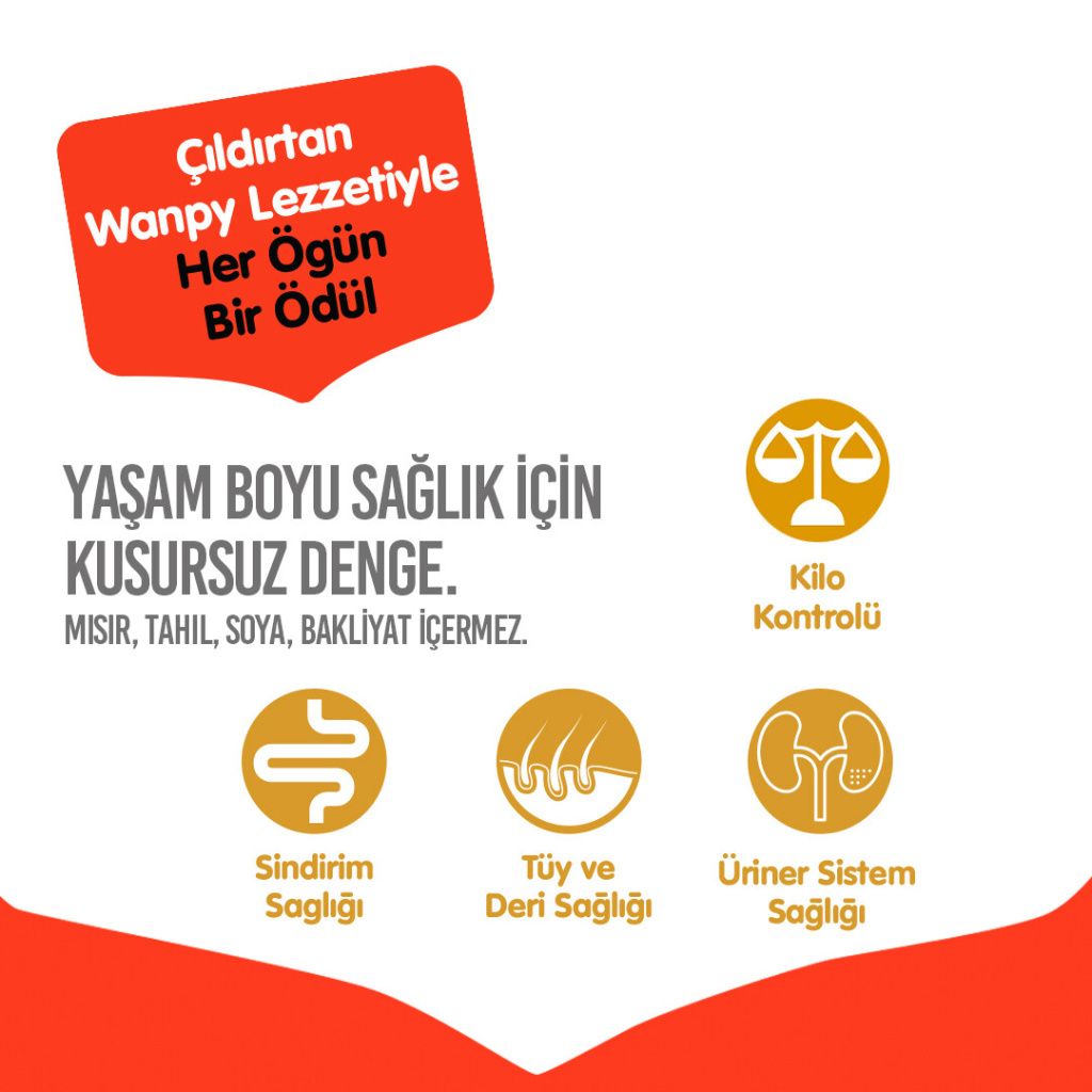 Wanpy Somonlu Tahılsız Yetişkin Kedi Maması 1,5kg
