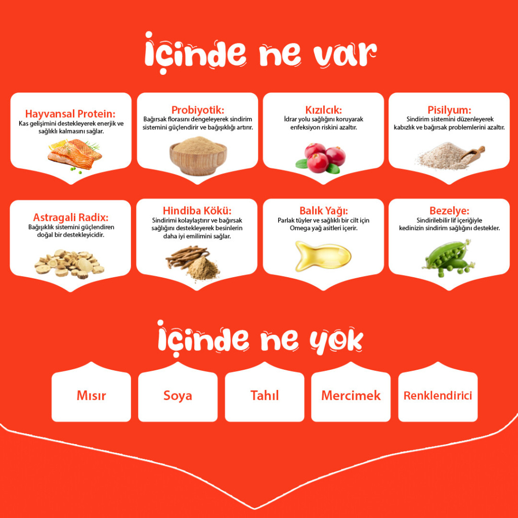 Wanpy Somonlu Tahılsız Yetişkin Kedi Maması 1,5kg