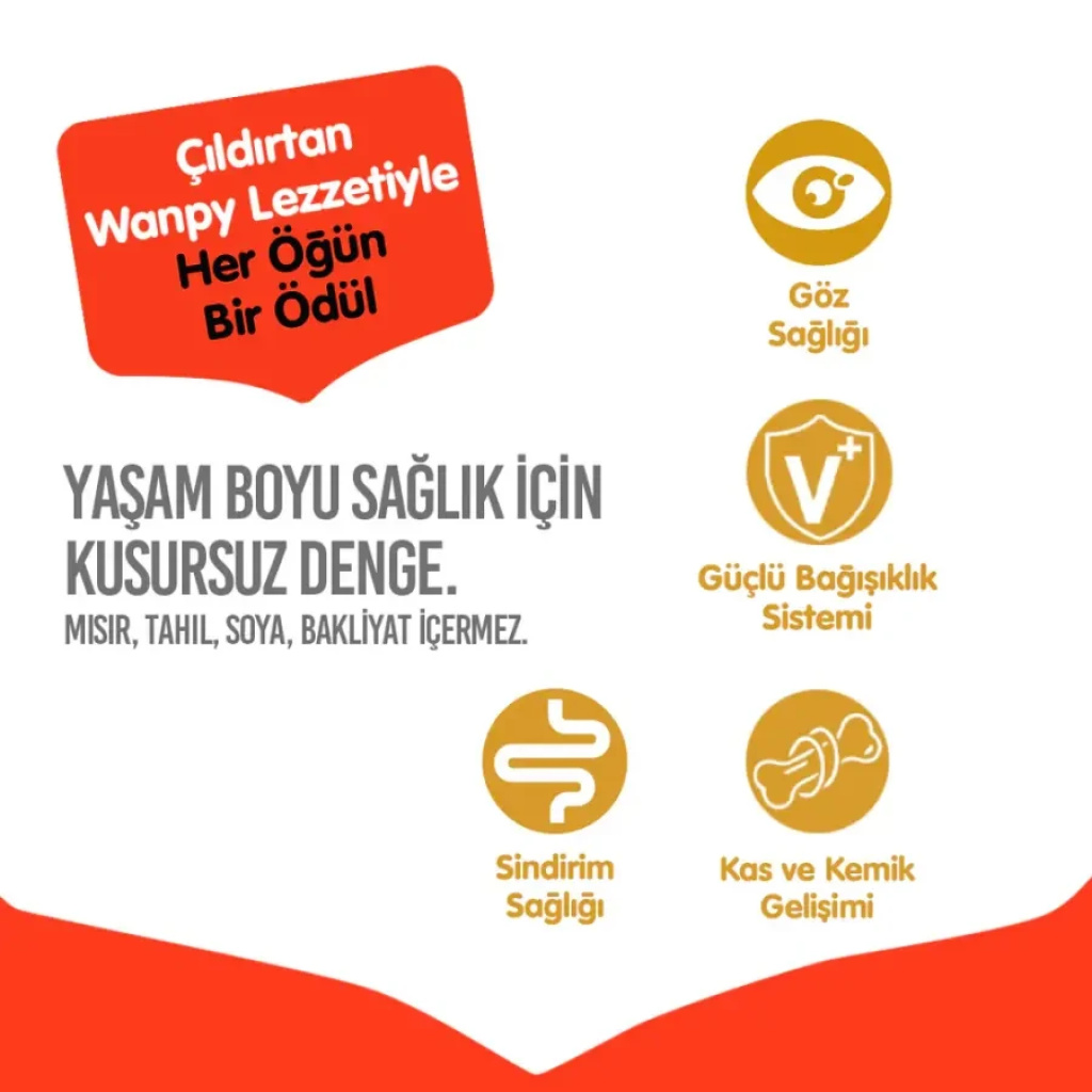 Wanpy Tavuklu Tahılsız Yetişkin Kedi Maması 8kg