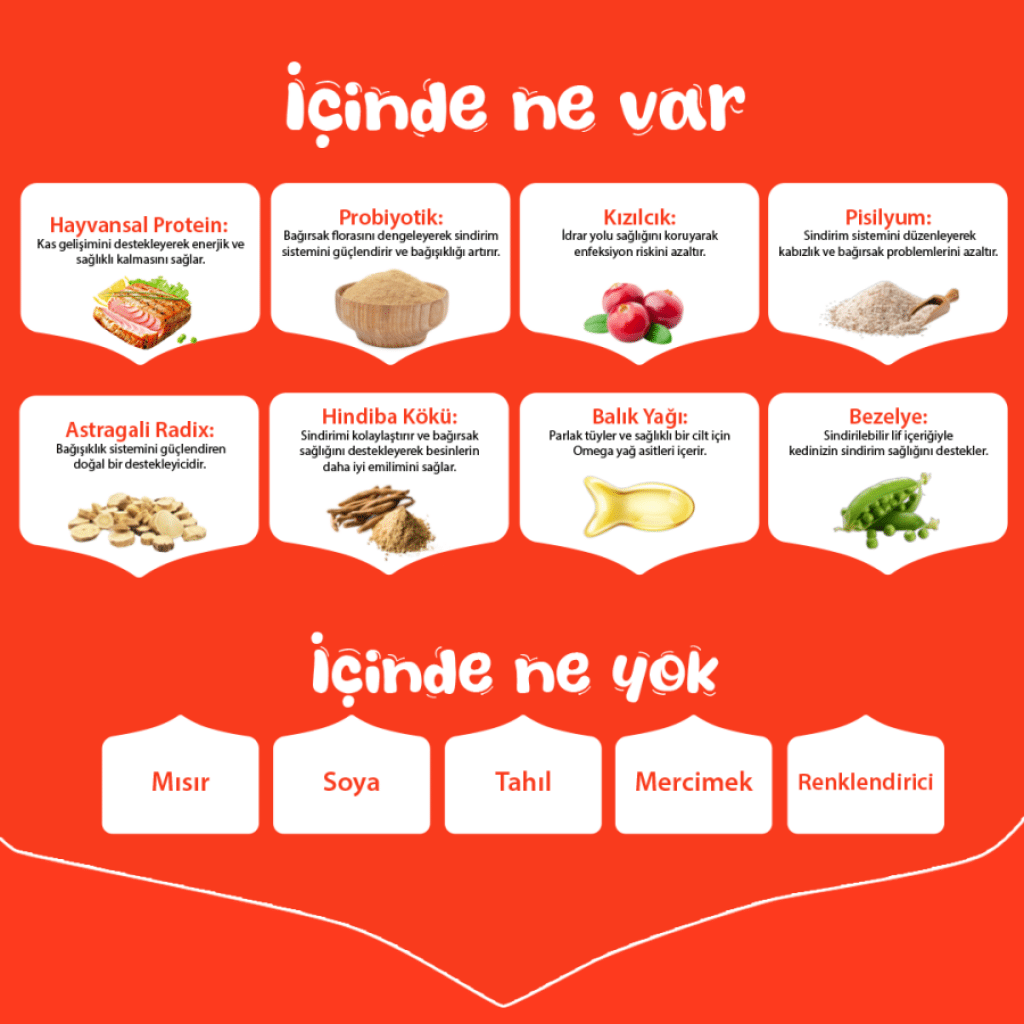 Wanpy Ton Balıklı Tahılsız Yetişkin Kedi Maması 8kg