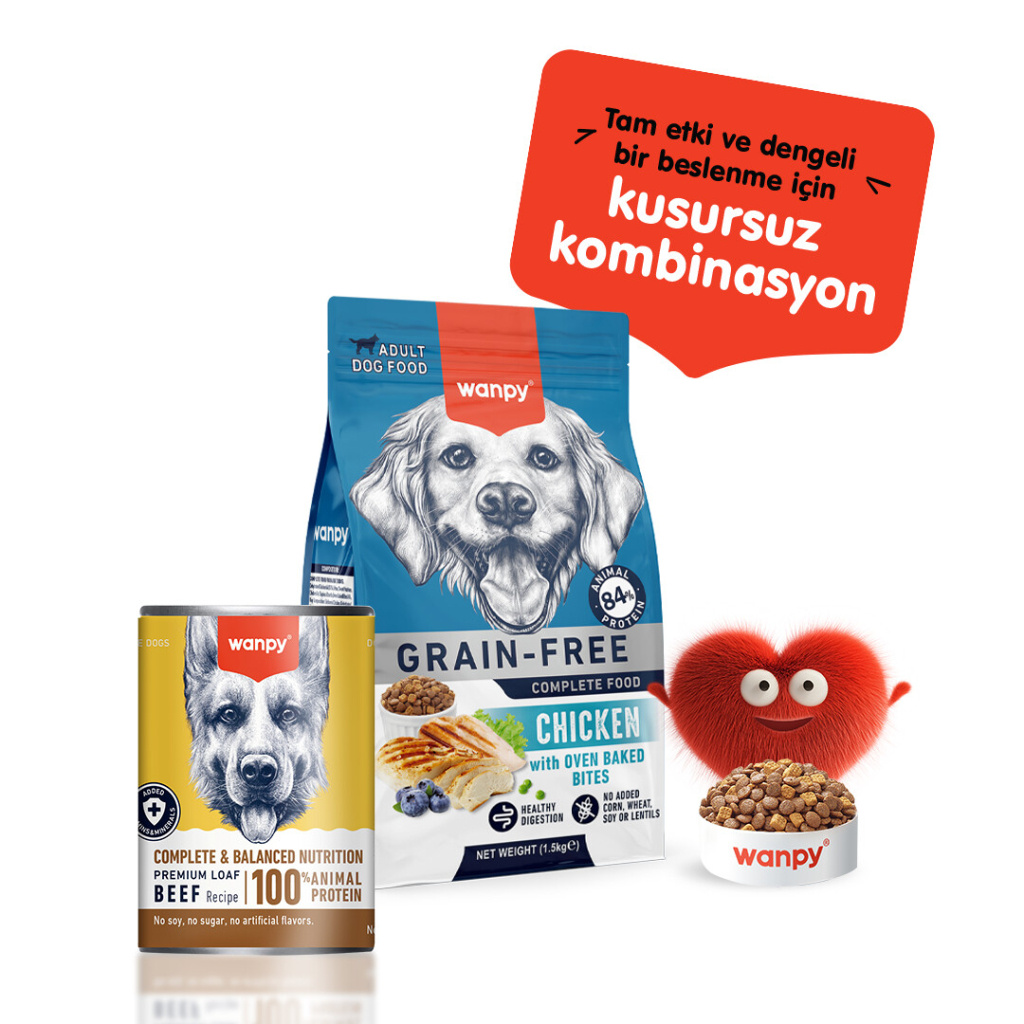 Wanpy Sığır Etli Ezme Köpek Konservesi 375gr