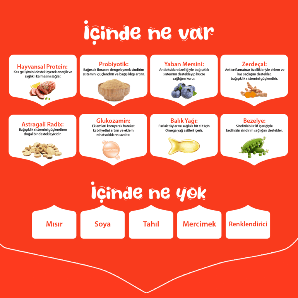 Wanpy Örnekli Tahılsız Yetişkin Köpek Maması 12kg