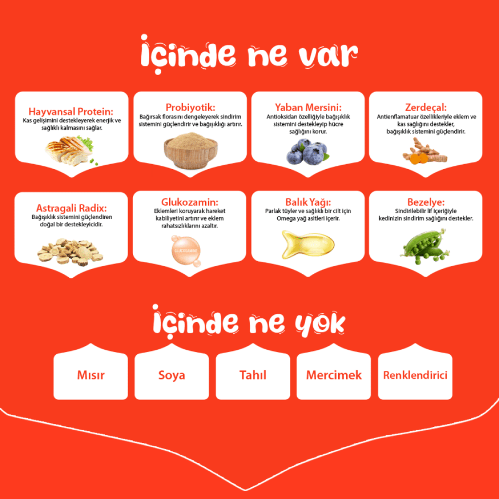 Wanpy Tavuklu Tahılsız Yetişkin Köpek Maması 12kg