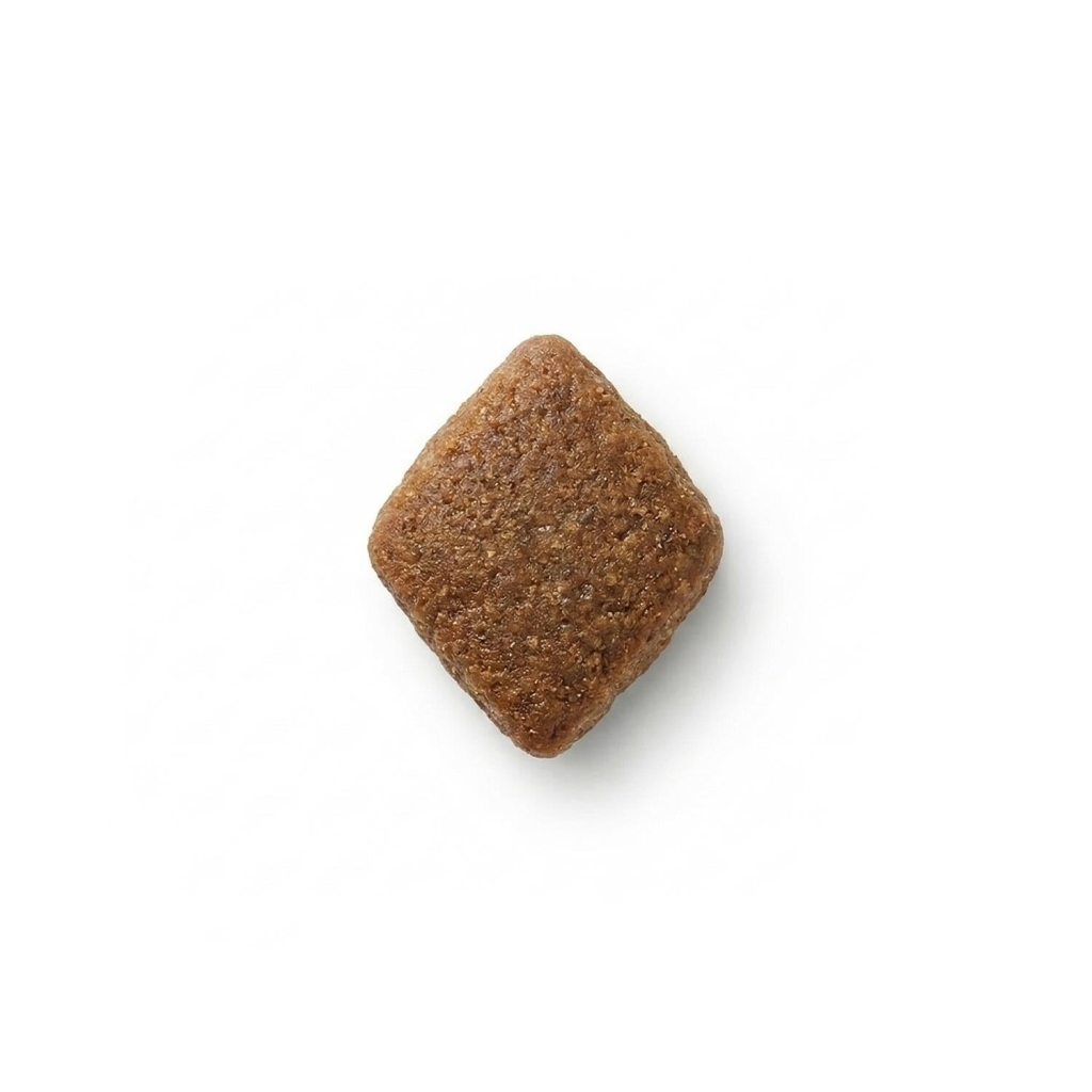 Zampa Plus Premium Somon Etli Yetişkin Köpek Maması 2,5kg