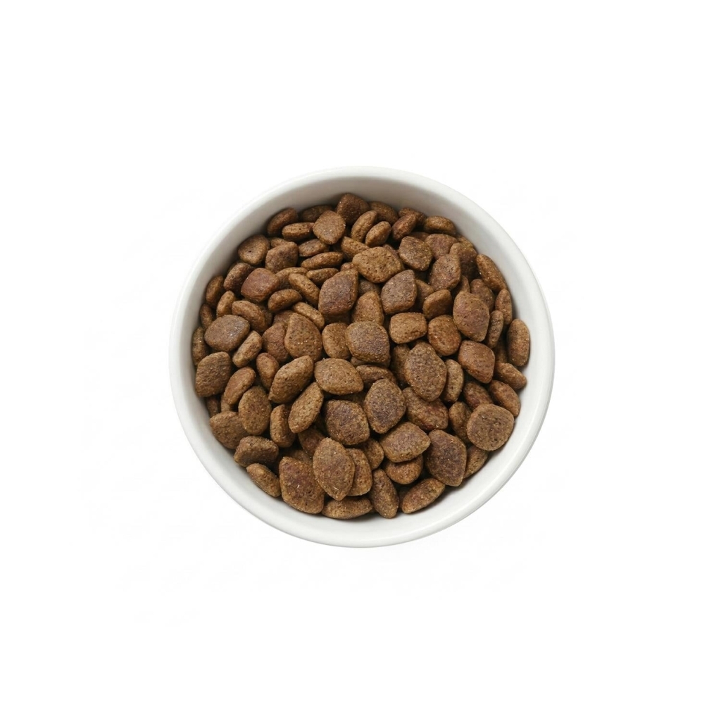 Zampa Plus Premium Somon Etli Yetişkin Köpek Maması 2,5kg