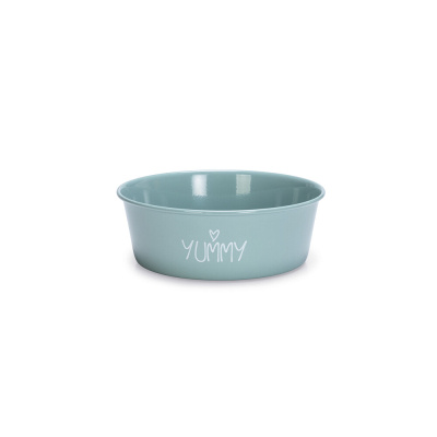 Beeztees Paslanmaz Çelik Köpek Mama ve Su Kabı 940ml (Turkuaz)