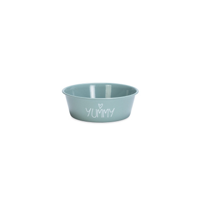 Beeztees Paslanmaz Çelik Köpek Mama ve Su Kabı 470ml (Turkuaz)