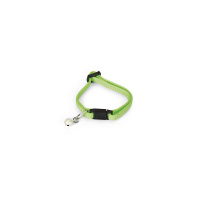 Beeztees Zilli Ayarlanabilir Yavru Kedi Boyun Tasması 16cm-23cm/8mm (Açık Yeşil)