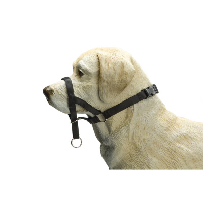 Beeztees Baş Kontrollü Köpek Eğitim Tasması 50-69cm (Siyah)
