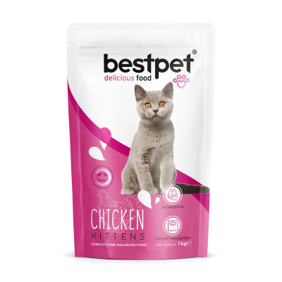 BestPet Yavru Kedi Maması