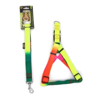 Doglife Gökkuşağı Köpek Göğüs Ve Gezdirme Tasması 2,5cm