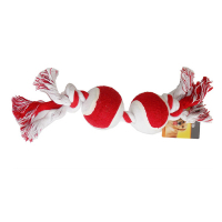 Eastland Ağız ve Diş Sağlığı