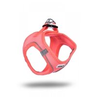 Ewox Air-Mesh Küçük Irk Köpek Göğüs Tasması 32-36cm (Neon Pembe) [XS]