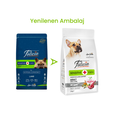 Felicia Hipoalerjenik Kuzulu ve Pirinçli Küçük Irk Düşük Tahıllı Yetişkin Köpek Maması 3kg