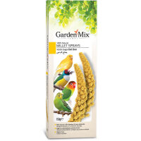 Garden Mix Platin Sarı Doğal Dal Darı 150gr