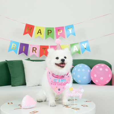M-Pets Party Time Dişi Köpekler İçin Doğum Günü Seti 20x20x7cm