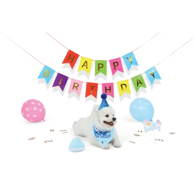 M-Pets Party Time Erkek Köpekler İçin Doğum Günü Seti 20x20x7cm