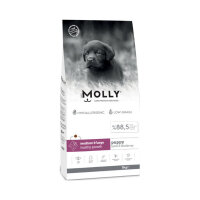 Molly Büyük Irk HypoAllergenic Kuzu Etli ve Yaban Mersinli Düşük Tahıllı Yavru Köpek Maması 15kg