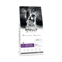 Molly Büyük Irk HypoAllergenic Kuzu Etli ve Yaban Mersinli Düşük Tahıllı Yetişkin Köpek Maması 15kg