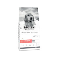 Molly Büyük Irk Derma Care HypoAllergenic Somonlu Yetişkin Köpek Maması 15kg