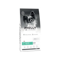 Molly Küçük Irk HypoAllergenic Somonlu Yetişkin Köpek Maması 2kg