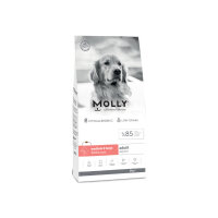 Molly Büyük Irk Derma Care HypoAllergenic Somonlu Yetişkin Köpek Maması 2kg