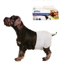 Pawise Ultra Emici Antibakteriyel Köpek Bezi (12'li) [L]