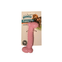 Pawise Puppy Life Diş Çıkarma Kemiği Oyuncağı 10cm