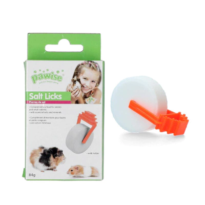 Hamster Kemirme Taşı