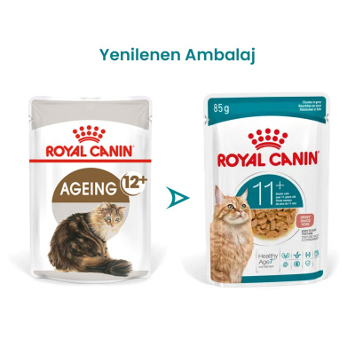 Yaşlı Kedi Konservesi