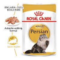 Royal Canin İran Kedisi Yetişkin Ezme Kedi Konservesi 85gr