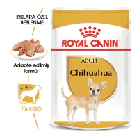 Royal Canin Chihuahua Yetişkin Köpek Konservesi 85gr