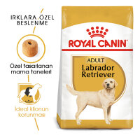 Royal Canin Labrador Retriever Yetişkin Köpek Maması 12kg