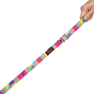 Tailpetz Spirit Desenli Kedi ve Köpek Gezdirme Kayışı 130x2cm