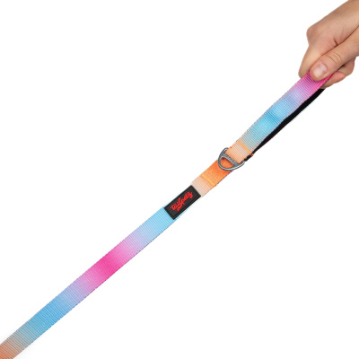 Tailpetz Pass Desenli Kedi ve Köpek Gezdirme Kayışı 130x2cm