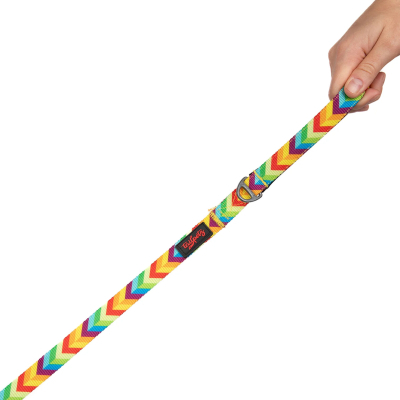 Tailpetz Rainbow Desenli Kedi ve Köpek Gezdirme Kayışı 130x2cm