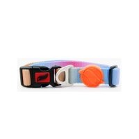 Tailpetz Pass Collar Kilitli Köpek Boyun Tasması 40-65cm/35mm [L] (Gökkuşağı)