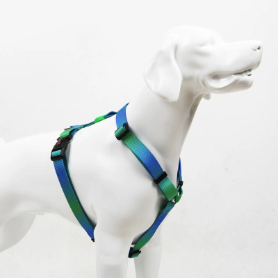 Tailpetz Amazon H-Harness Köpek Göğüs Tasması [L]