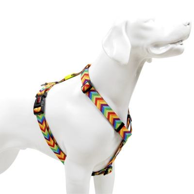 Tailpetz H-Tipi Köpek Göğüs Tasması (Gökkuşağı) [S]