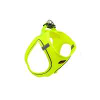 Tailpetz Air-Mesh Küçük Irk Köpek Göğüs Tasması 24-28cm (Neon Sarı) [3XS]