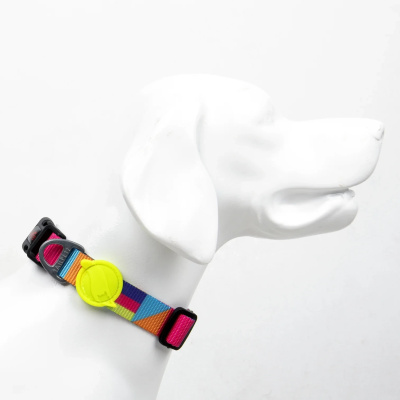 Tailpetz Spirit Köpek Boyun Tasması [S]