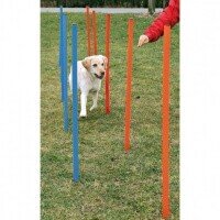 Trixie Köpek Agility Eğitim Direkleri 13x110cm (12'li)