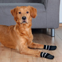 Trixie Kaymaz Tabanlı Köpek Çorabı (2'li) [XL]