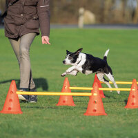 Trixie Köpek Agility Oyuncağı 23x30cm (3'lü)