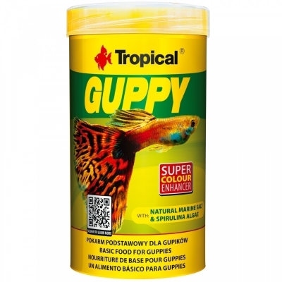 Tropical Lepistes Balığı Yemleri