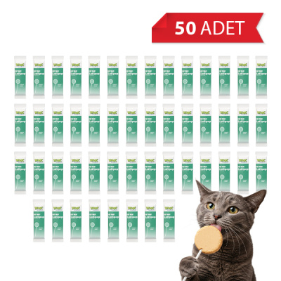 Wooc Lollipop Tavuk ve Arpalı Kedi Ödül Maması 1,4gr (50'li)