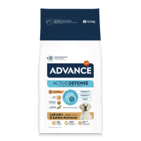 Advance Labrador Retriever Yetişkin Köpek Maması 11,5kg