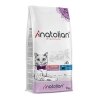 Anatolian Premium Somon Etli ve Pirinçli Kısırlaştırılmış Kedi Maması 2kg