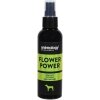 Animology Flower Power Yasemin ve Gül Kokulu Köpek Parfümü 150ml